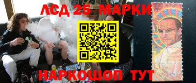 гидропоника Ставрополь
