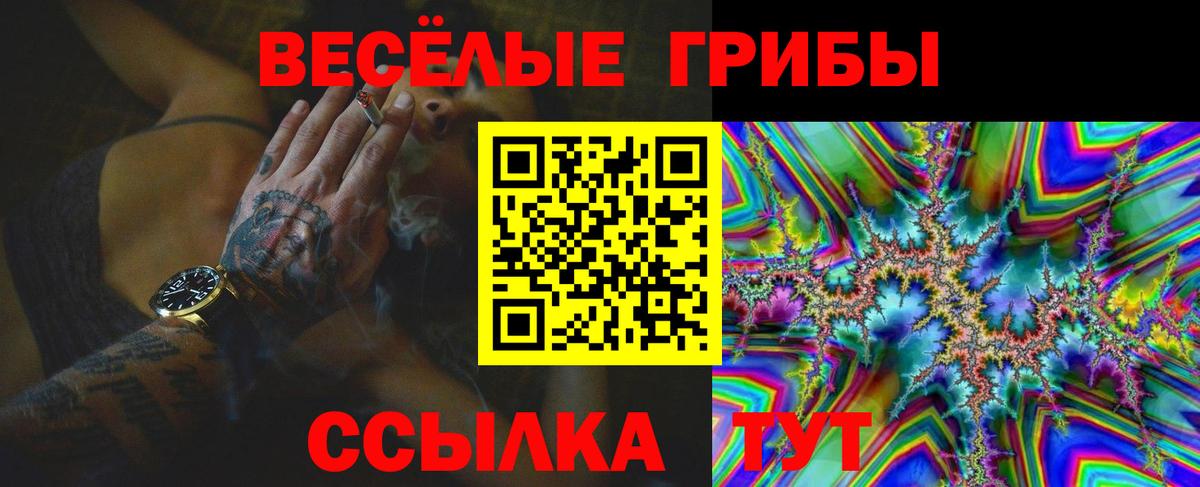 Псилоцибиновые грибы Psilocybe  Вход с VPN  Нижний Тагил 